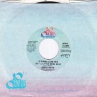 BARRY WHITE / I'M GONNA LOVE YOU JUST A LITTLE MORE BABY / 7" /