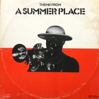 TAN TAN / THEME FROM A SUMMER PLACE / 12” /
