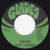 NATE CALHOUN FUNKTOWN