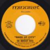 THE BERKELEY KITES / HANG UP CITY / MARY-GO-ROUND / 7" /