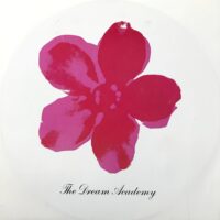 THE DREAM ACADEMY / THE LOVE PARADE / 12" /