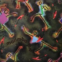 RED GUITARS / MARIMBA JIVE / 12" /