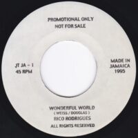 RICO RODRIGUES / WONDERFUL WORLD / 7" /