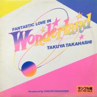 高橋拓也 TAKUYA TAKAHASHI / FANTASTIC LOVE IN WONDERLAND / LP /