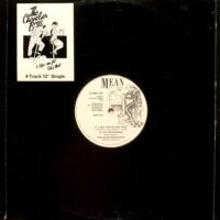 THE CHEVALIER BROTHERS / I LIKE 'EM FAT LIKE THAT / 12" /