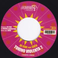 DJ FEDE / A CHANGE FOR PEACE / TORINO VIOLENTA 2 / 7" /