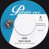 GUIVE / CAN'T GET ENOUGH OF YOUR LOVE / SEXUAL HEALING / 7" /
