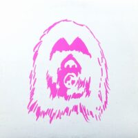 FLYING RHYTHMS / DORAGON BALLS / 12" /