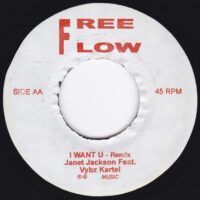 JANET JACKSON FEAT. ELEPHANT MAN / JANET JACKSON FEAT. VYBZ KARTEL / DON'T STOP- REMIX / I WANT U - REMIX / 7" /