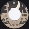 ROB TEX / ROCK THE KASBAH / 7" /
