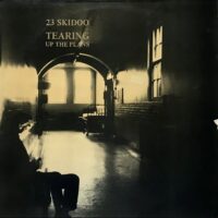23 SKIDOO / TEARING UP THE PLANS / 12" /