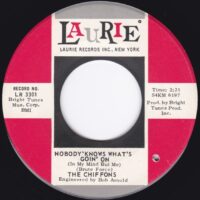 THE CHIFFONS / NOBODY KNOWS WHAT'S GOIN' ON (IN MY MIND BUT ME) / 7" /