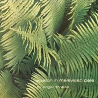 EDGAR FROESE / EPSILON IN MALAYSIAN PALE / LP /