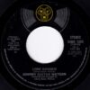 JOHNNY GUITAR WATSON / LONE RANGER / 7" /