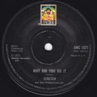 STRETCH / WHY DID YOU DO IT / 7" /