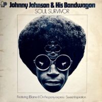 JOHNNY JOHNSON AND HIS BANDWAGON / SOUL SURVIVOR / LP /