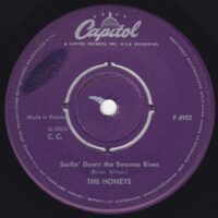 THE HONEYS SURFIN DOWN THE SWANEE RIVER