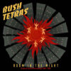 BUSH TETRAS / BOOM IN THE NIGHT (ORIGINAL STUDIO RECORDINGS 1980 - 1983) / LP /