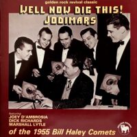 THE JODIMARS / WELL NOW DIG THIS! / LP /