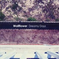 WALLFLOWER / DREAMY DAYS / 7" /