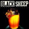 BLACK SHEEP / STROBELITE HONEY / 12" /