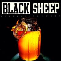 BLACK SHEEP / STROBELITE HONEY / 12" /