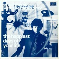 PAUL BEVOIR / THE HAPPIEST DAYS OF YOUR LIFE / LP /