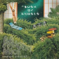 BUSH OF GHOSTS / BUDDHISTS TRACKS / 7" /