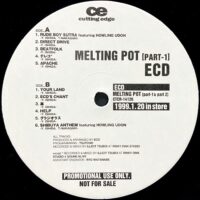 ECD - Melting Pot 白ラベル プロモ盤 レコード