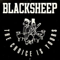 BLACK SHEEP / THE CHOICE IS YOURS / 12" /