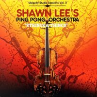 SHAWN LEE'S PING PONG ORCHESTRA / STRINGS & THINGS / 2LP /