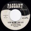 ZIP AND THE ZIPPERS / WHERE YOU GOIN', LITTLE BOY? / 7" / 2 WHERE YOU GOIN LITTLE BOY