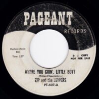 ZIP AND THE ZIPPERS / WHERE YOU GOIN', LITTLE BOY? / 7" /