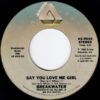 BREAKWATER / SAY YOU LOVE ME GIRL / 7" /