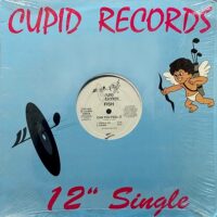 FISH / CAN YOU FEEL IT / 12" /