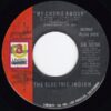 THE ELECTRIC INDIAN / MY CHERIE AMOUR / 7" / 2 MY CHERIE AMOUR