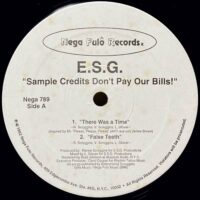 ESG / SAMPLE CREDITS DON'T PAY OUR BILLS! / 12" /