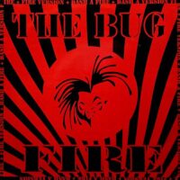 THE BUG / FIRE / 12" /