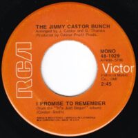 THE JIMMY CASTOR BUNCH / TROGLODYTE (CAVE MAN) / I PROMISE TO REMEMBER / 7" /