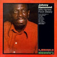 JOHNNY HAMMOND / WILD HORSES ROCK STEADY / LP /
