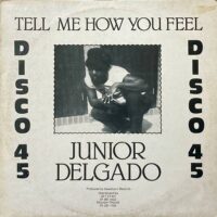 JUNIOR DELGADO / TELL ME HOW YOU FEEL / 12" /