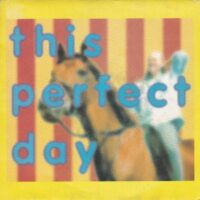 THIS PERFECT DAY / SHE'S GOT A HORSE OF HER OWN / 7" /