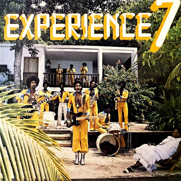 EXPERIENCE 7