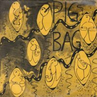 PIGBAG / PAPA'S GOT A BRAND NEW PIGBAG / 7" /