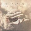 TERRY CALLIER / LOVE THEME FROM SPARTACUS / 12" / 3 TERRY CALLIER