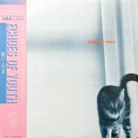 V.A. / 若いこだま ECHOES OF YOUTH / LP /