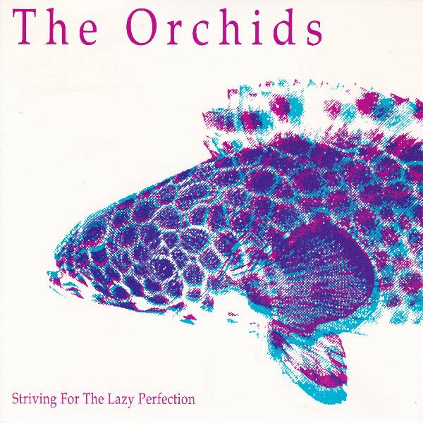 THE ORCHIDS