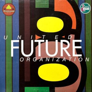 UNITED FUTURE ORGANIZATION