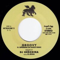 DJ SENORINA A.K.A. G. RINA / NICOLETTE / GROOVY (DJ SENORINA-DE-DANCE REMIX) / GROOVY / 7" /