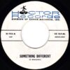 UNKNOWN ARTIST / SOMETHING DIFFERENT / LEAN BABY / 7" /